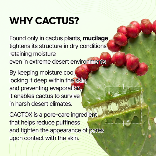 CACTOX Pore Relief Jelly Serum Mist